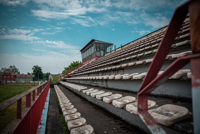 决定前可以 决定前可以